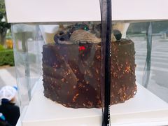-今日·TODAY手作低脂动物奶油蛋糕定制(高新万达店)