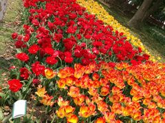 -上海鲜花港