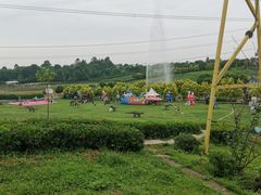 -紫颐香薰山谷景区