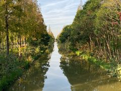 -上海长兴岛郊野公园