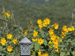 -潭柘厚院&山顶烤肉(潭柘寺店)