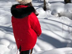-雪谷