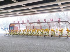 -长白岛森林公园