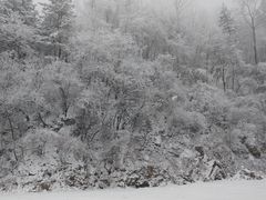 -秦岭终南山世界地质公园翠华山景区
