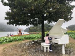 -广州市石门国家森林公园