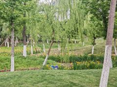 -皇粮浜湿地公园