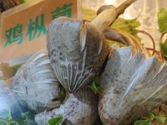 -易门野生菌府·菌海森林(月牙潭公园店)