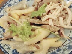 -九斤黄三黄鸡专卖店