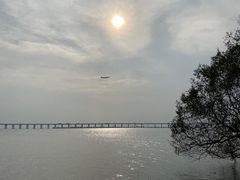 -宝安西湾红树林湿地公园