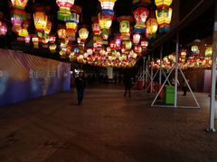 -锦江乐园舞狸花花游园会(夜场专享)