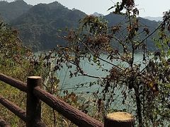 -羚羊峡古栈道森林公园