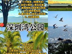 -大梅沙海滨公园