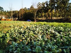 -杭州六谷生态休闲农庄有限公司