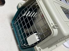 -顺强宠物诊所·狂犬免疫·夜诊·骨科(嘉定店)