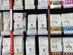 -瑞派·关忠动物医院·异宠专科·犬猫肿瘤·皮肤专科(望京店)