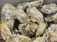 -千岛蚝高压锅生蚝·人参火锅(白云万达店)