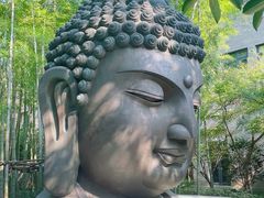 -杭州植物园