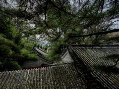 -潭柘寺景区