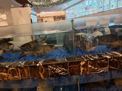 水产区-顺德人家食府(黄金广场店)