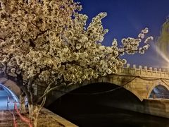 -元大都城垣遗址公园