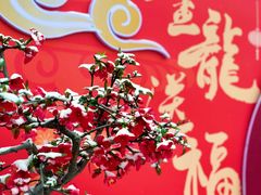 -莫愁湖公园