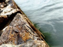 -东钱湖旅游度假区