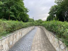 -宝界山林公园