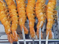 -古彭7只羊·招牌白串·碳锅羊肉旗舰店