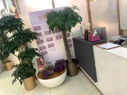 -紫洁俪方（北京）医疗美容