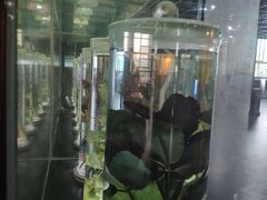 -广东中医药博物馆