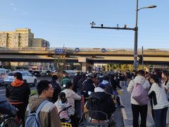 -三里屯东五街银杏大道
