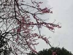 -瑞伯克牛排自助餐厅天一广场店