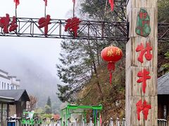 -祁门牯牛降观音堂风景区