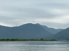 -盐洲岛