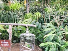 -南宫五洲植物乐园