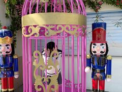 -厦门方特梦幻王国