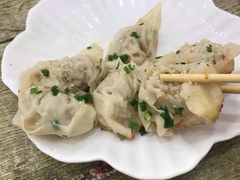 蛋黄鲜肉煎馄饨-乌镇姐妹特色小吃(银杏公寓店)
