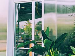 门面-Green Option(官舍店)