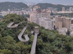 -福道