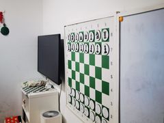 -常青藤国际象棋(新奥店)