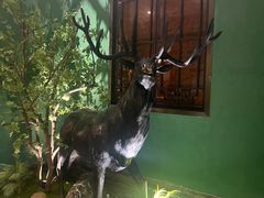 -新白鹿餐厅(银泰西湖文化广场店)