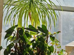 -沐春秋茶书院·茶室.茶馆.商务包房(知春路店)