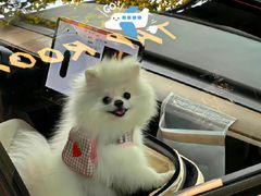 -東更道点心行(文化东路店)