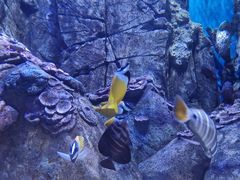 -成都浩海立方海洋公园