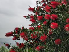 -金海湾滨江公园