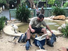 -费瑟代尔野生动物园