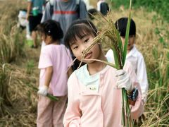 -艺年级儿童语言艺术中心(冉家坝爱融荟城店)