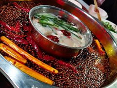 -枇杷园食为鲜火锅(南山店)