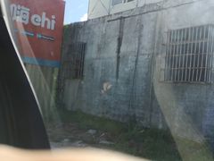 -一嗨租车(凤凰机场店)