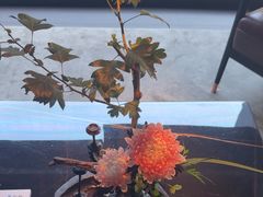 -曲水兰亭(北京四惠店)